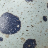 Close-up of Huckleberry's blue speckled egg shell
